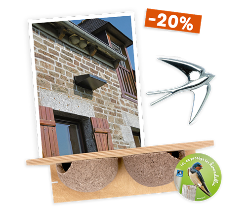 Pack Accueillir les hirondelles de fenêtre
